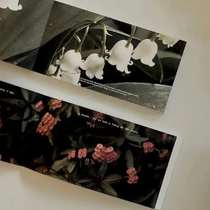 ซื้อกุหลาบให้ตัวเอง (买玫瑰花给自己)