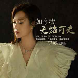 如今我无路可走(DJ版)