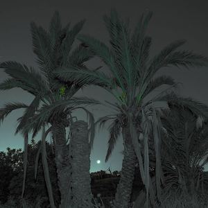 色盲（翻自 大宽）