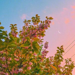 他究竟是谁（翻自 三宝）