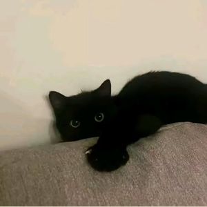 忘记比相遇更需要勇气