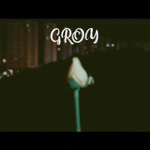 【FREE】Groy3
