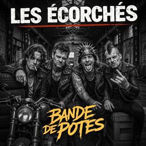 Bande de potes