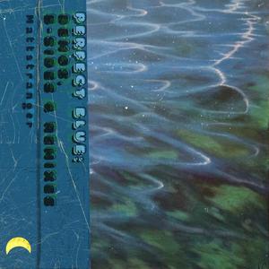 Superfamicom (Branko Stojanov Aquadub Remix)