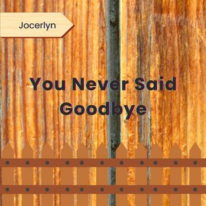 You Never Said Goodbye