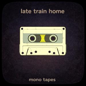 Late Train Home