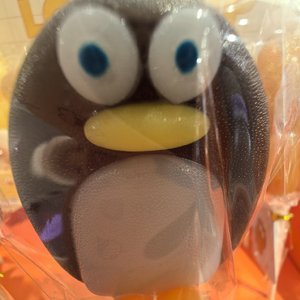 于是（Cover郑润泽）