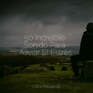 Recuerdos De Cascada