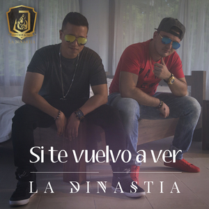 Si Te Vuelvo a Ver