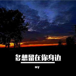 多想留在你身边（刘增瞳）