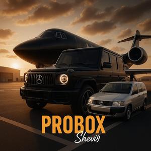 PROBOX