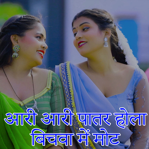Aari Aari Patar Hola Bichva Mot