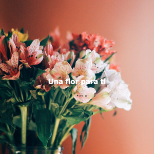 Thrilling Music for Daily Nature Experiences