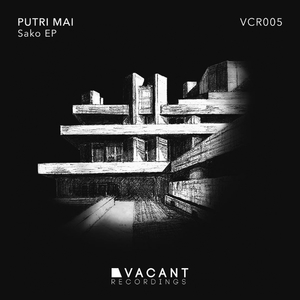 Sako (Matt Lee Remix)