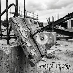 锈钉子与蒲公英_QQ浏览器转格式.wav