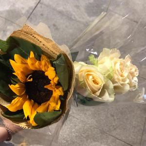 一颗会开花的树（翻自 谢春花）