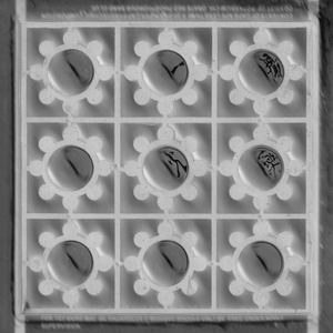 我好像有話要說