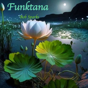Funktana (Single)