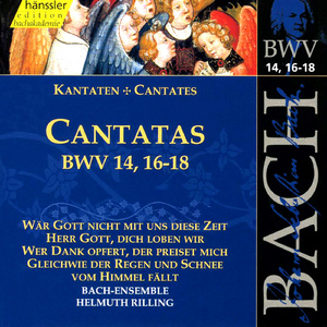 Wer Dank opfert, der preiset mich, BWV 17:Recitative: Sieh meinen Willen an (Bass)