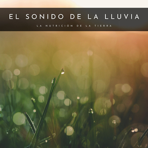 Lluvia Para El Descanso