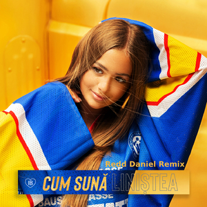 Cum Sună Liniștea (Redd Daniel Remix)