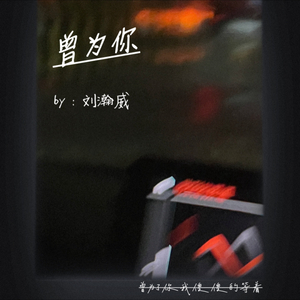 曾为你