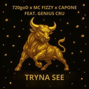 Tryna See (feat. Genius Cru)
