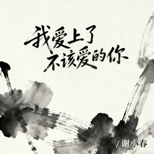 我爱上了不该爱的你