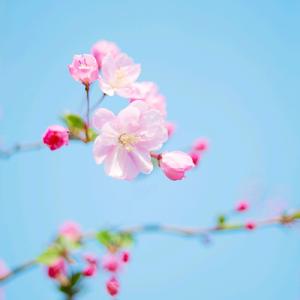 便利店屋檐下的暖光与雨幕