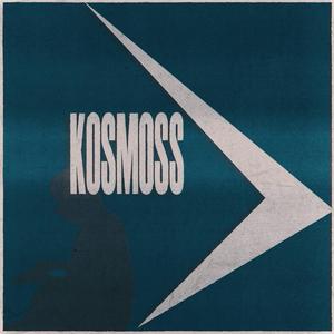 VER VIQNEBI ROCKSTARI