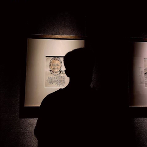 清晨的森林鸟鸣