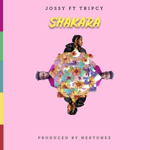 ShaKara (feat. Tripcy)