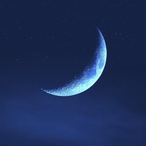 Moonshine Whispers (feat. Polina Chornaya)