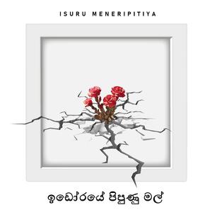 Idoraye Pipunu mal (ඉඩෝරයේ පිපුණු මල්)