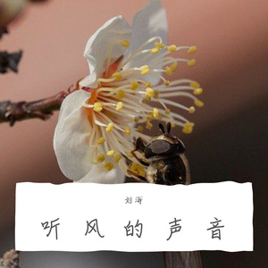 听风的声音-纯音乐