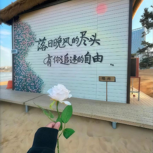 乘风向南