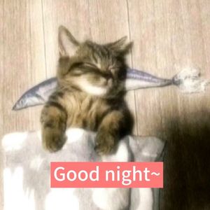 【FREE BEAT】Good night-吉他旋律type beat