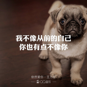 秋心叹