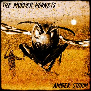 Amber Storm