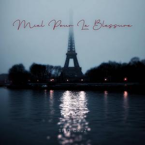 Miel pour la blessure