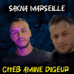 Ana Kiyabroni Ikhaloni Nahder (DJ Ba3Oucha) [Live]