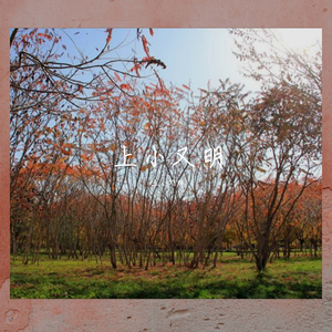 你还给我打什么电话