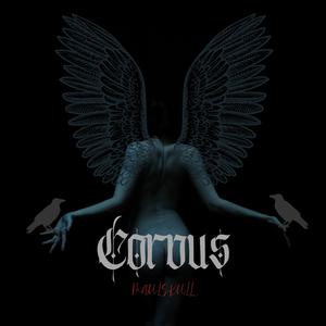 Corvus