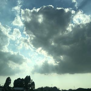 此生不换（片段）