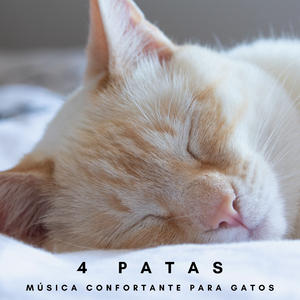 Relajación Musical