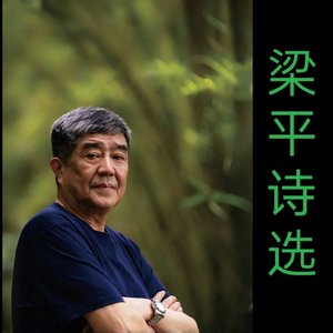 我在我的城市退后一步（梁平）.mp3