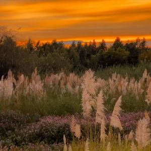 Skyfall铃声免费_25dc37c6e2be4fcfb1e05fd5ca8cb522.mp3