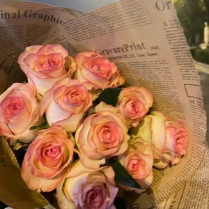 Kitsch（中文版）