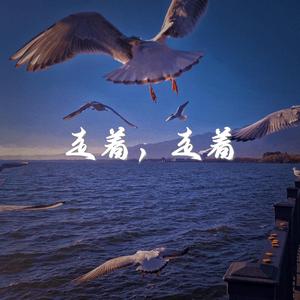 潮起潮落（so cold remix) （南城 remix）（prod by Feelø）