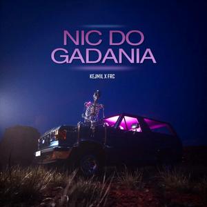 Nic do gadania (feat. frc)